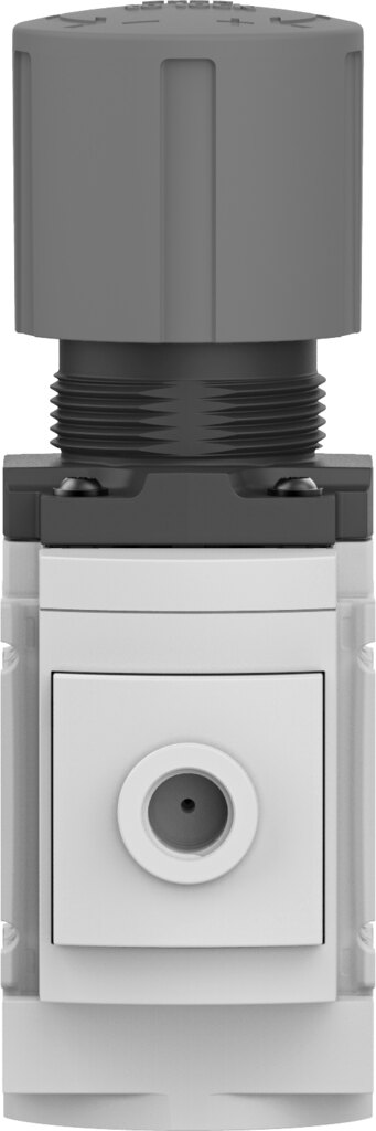 8175243-MS4-LR-1/4-D6-A8-F1A-B Regülatör - Görsel 5