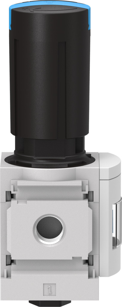 530001-MS6-LR-3/8-D5-AS Regülatör - Görsel 4