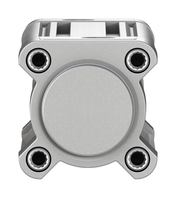 1376908-DSBC-40-125-PPSA-N3 Standart Silindir - Görsel 4